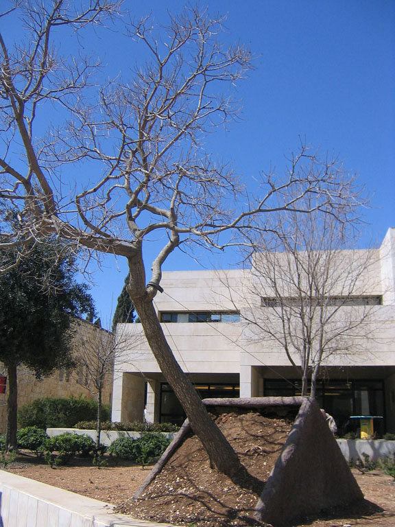 Hebrew University